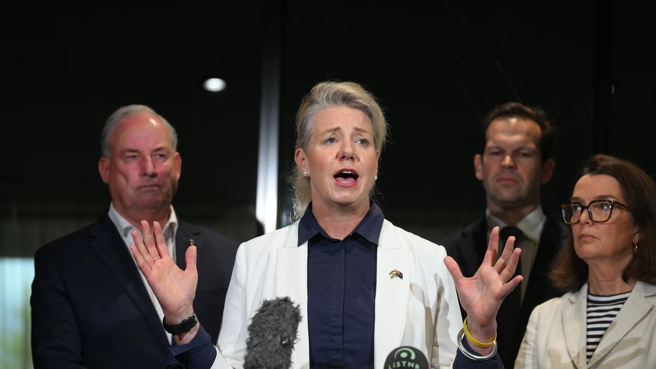 Nationals Senator Bridget McKenzie says the federal government is lagging on its domestic violence plan. Picture: Dan Peled / NCA NewsWire