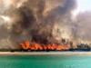 parts of the World Heritage site stripped bare by fire