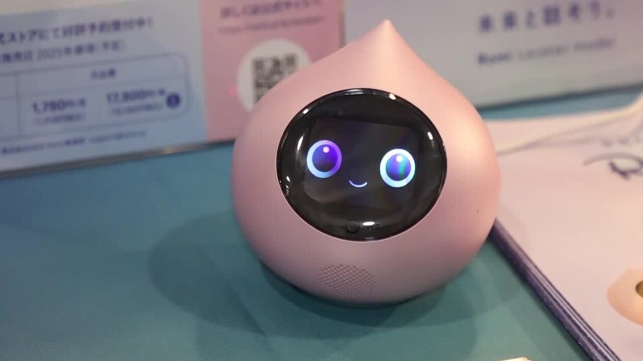 Emotional support robot helps combat isolation and depression