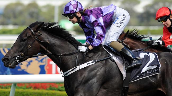 Jason Coyle says despite the distance variation between the Randwick and Canterbury races, Scream Machine is versatile enough for either contest.