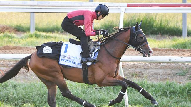 Yasunari Kiyoyama riding Prognosis in a trackwork gallop at Werribee. Picture: Pat Scala/Racing Photos via Getty Images