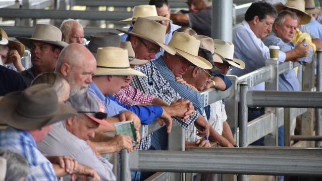 The Casino saleyards.