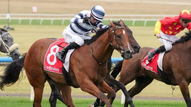 Uncommon James is searching for his first win since last year’s Oakleigh Plate. Picture: Scott Barbour/Racing Photos via Getty Images