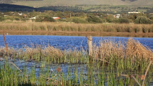 Labor has committed to creating an Aldinga Washpool Conservation Park if elected in 2022. Picture: ABRA