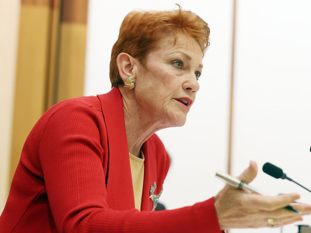 Pauline Hanson claimed Australians had been “lied to” about the number of people who had died during the pandemic. Picture: NCA NewsWire / Gary Ramage