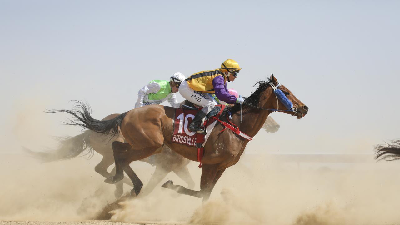 Race 2 at the Birdsville Races. Picture: Salty Dingo