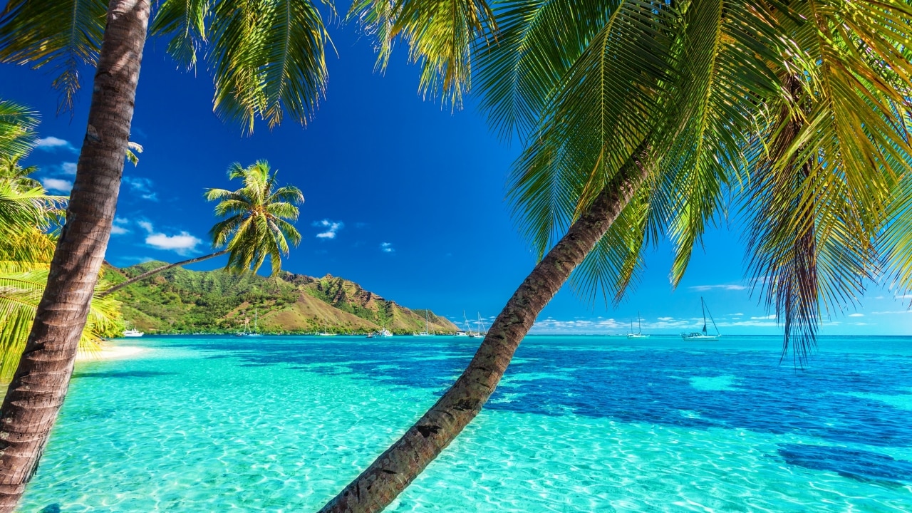 bora bora beach wallpaper