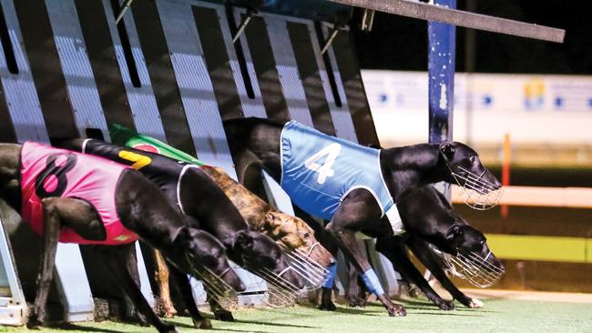 Racing at Angle Park has been suspended for four months while work is underway to redevelop the track. Pic: Greyhound Racing SA