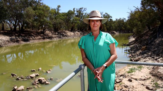 Water Minister Melinda Pavey says the state will continue to own the dams. Picture: Toby Zerna