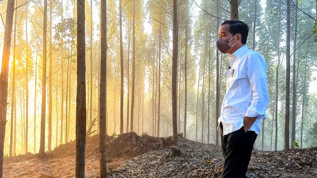 Joko Widodo after spending the night at site for new capital city. Picture: AFP