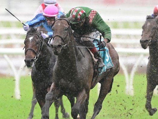 Cool Archie winning the BRC Sires' Produce Stakes before the Eagle Farm meeting was called off. Picture: Trackside Photography