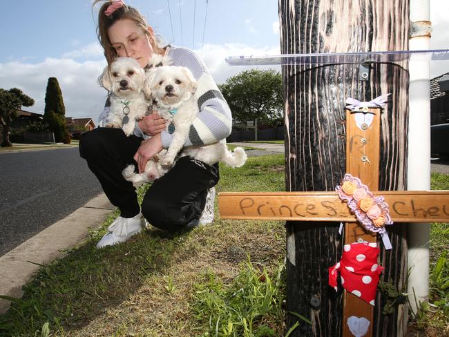 Shae Khan with her other dogs Prince, Precious and Peanut. Leopold woman Shae Khan wants speed humps installd in her street after the traigc death of her dog Princess. It was hit and killed on Friday morning last week. She is still searching for the culprit. Picture: Alan Barber