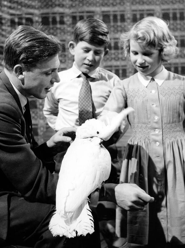 David Attenborough with a young Prince Charles and Princess Anne in a scene from TV series Zoo Quest in the 1950s.