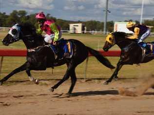 Third Rock noses ahead at the Roma rugby races. Picture: Alexia Austin