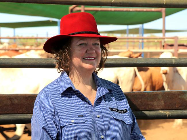 Gina Rinehart at her Helen Springs cattle station.