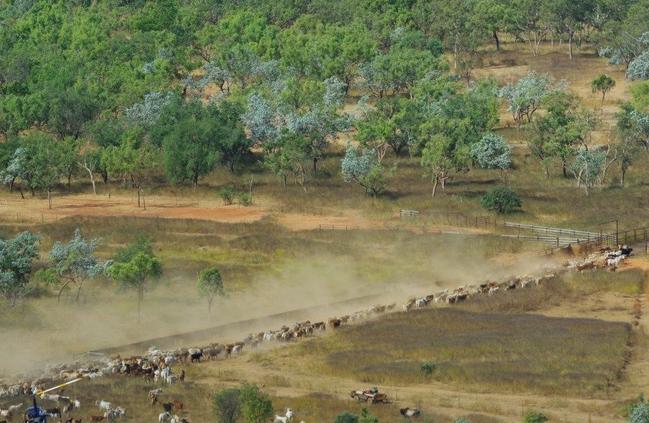 Wollogorang and Wentworth cattle stations are on the market for expressions of interest, after being sold in 2015 to Chinese billionaire Xingfa Ma. Picture: SUPPLIED