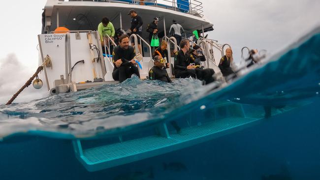 Preparing to enter the water from Dreamtime Dive &amp; Snorkel, off Cairns.