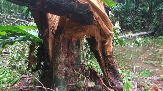 Images have begun filtering through from Cow Bay, which copped a walloping overnight Wednesday from Tropical Cyclone Jasper. Residents have begun assessing the damage to the small coastal community north of the Daintree River.