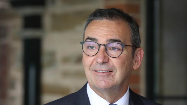 Premier Steven Marshall, who is the subject of the stinging attack by the Labor MP for Light. Picture: NCA NewsWire / Dean Martin