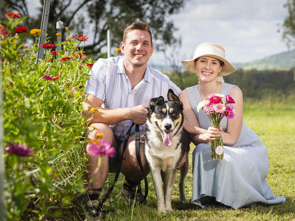 Kieran and Tori Briese with Chia in the flower field as Karinya in the Valley host a pick your own flower session, Saturday, January 4, 2025. Picture: Kevin Farmer