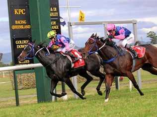 THINGS TO DO: The Kilcoy Races are one of the many events happening next week. Picture: Contributed