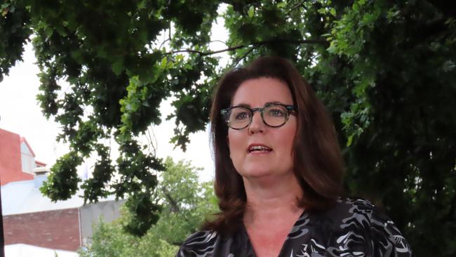 Independent MLC for Nelson Meg Webb speaks to the media on Parliament Lawns in Hobart on Monday, February 3, 2025.