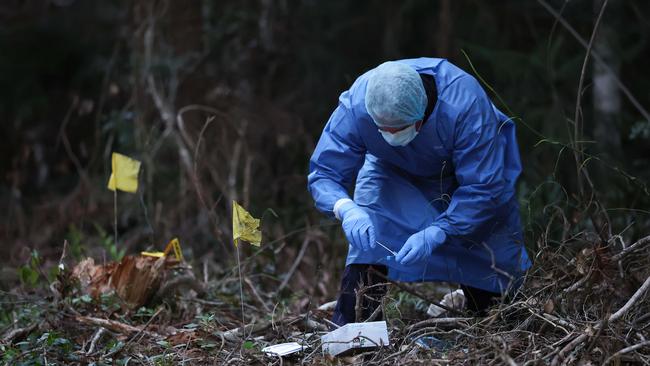 Police conduct a search in Good Night Scrub National Park looking for the missing 17 year old Pheobe Bishop. Pics Adam Head