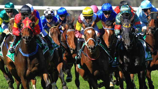 Racing in New South Wales is at Cootamundra and Scone on Friday.
