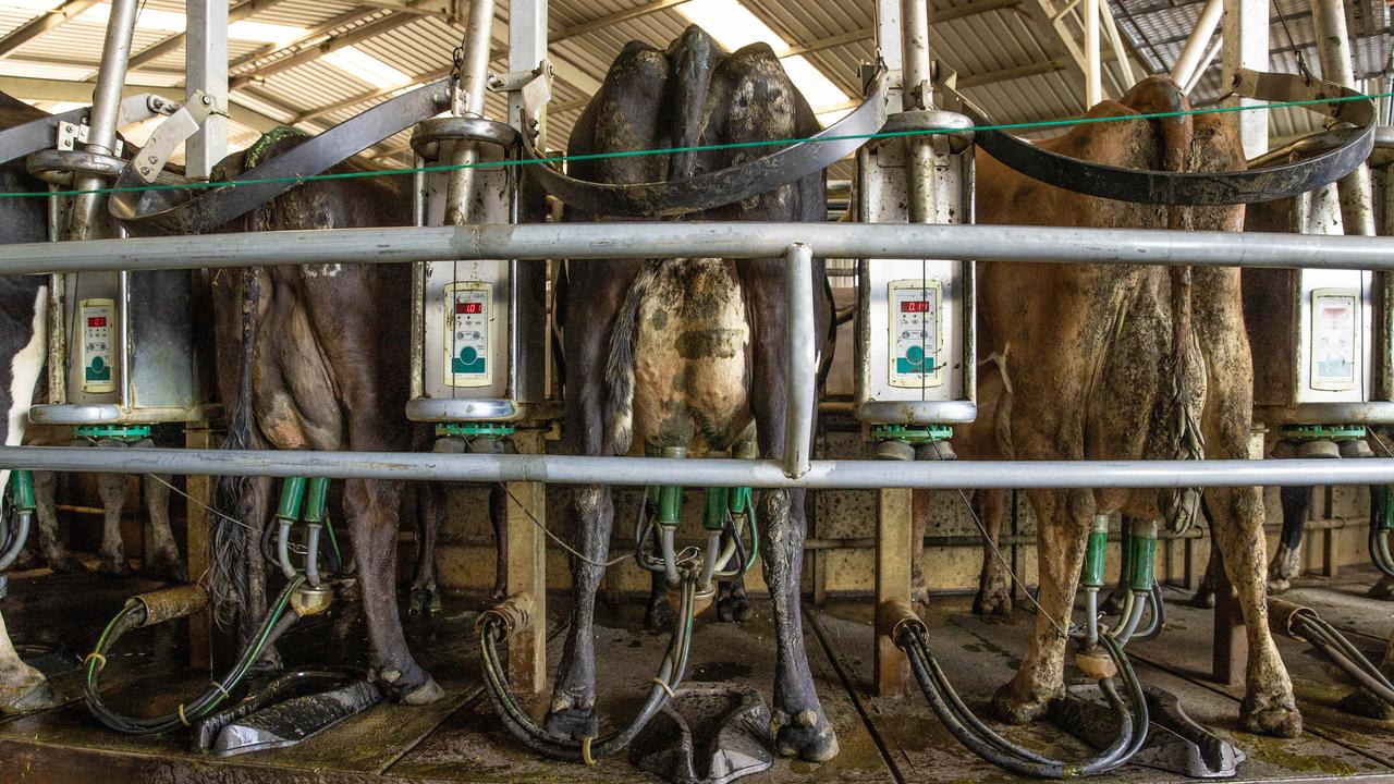 Global Dairy Trade: Farmers call for pricing step up