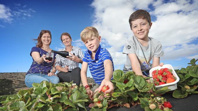 (L-R) Emily Salmon from IQ Wines and Vanessa Bresnehan from Back Paddock Vineyard with Thomas Salmon, 9 and Harry Bresnehan, 9 picking strawberries ahead of this weekend's family friendly wine weekend at the strawberry farm on the way to Richmond. Picture: LUKE BOWDEN