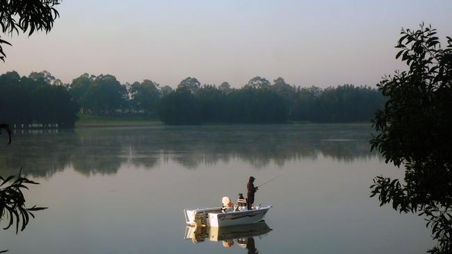 Lurking in the murky waters of Chipping Norton Lakes are bull sharks.