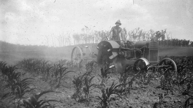 This farm scene was among the photos found by House Histories' Magnus Eriksson.