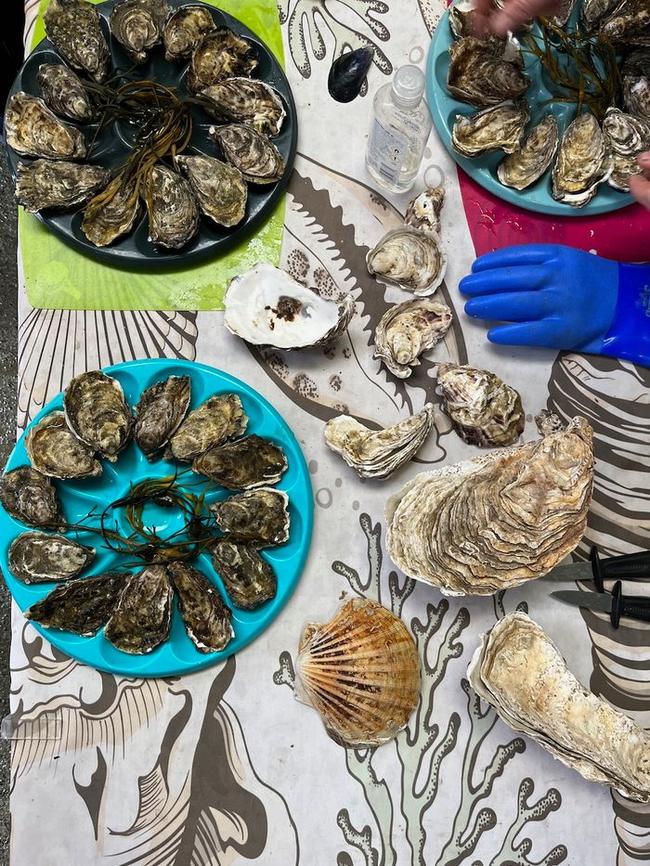 Oyster farm tour and tasting at DK Connemara Oysters. Picture: Max Sussman/Bog &amp; Thunder