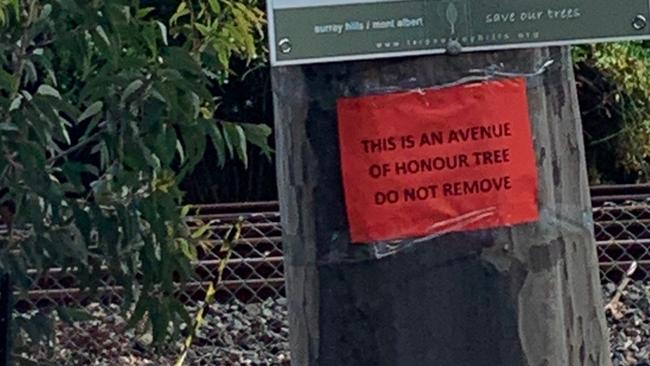 Mont Albert residents have lost their battle to save trees in the Avenue of Honour on Churchill St. Picture: Supplied.