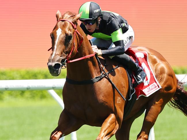 SYDNEY, AUSTRALIA - JANUARY 04: Josh Parr riding Accredited  win Race 4 Toyota Forklifts during Sydney Racing at Royal Randwick Racecourse on January 04, 2025 in Sydney, Australia. (Photo by Jeremy Ng/Getty Images)