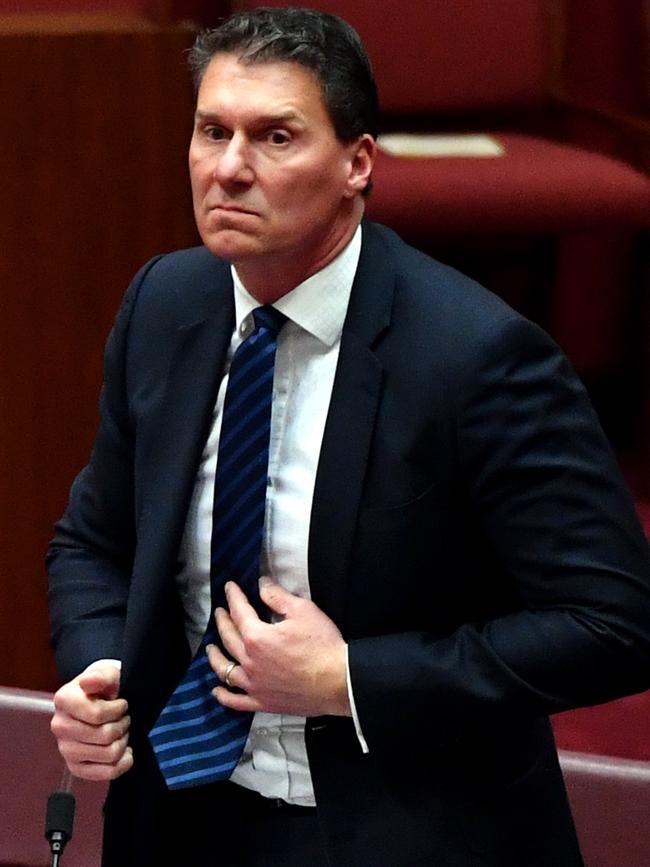 Combined with Senator Cory Bernardi. Picture: AAP Image/Sam Mooy