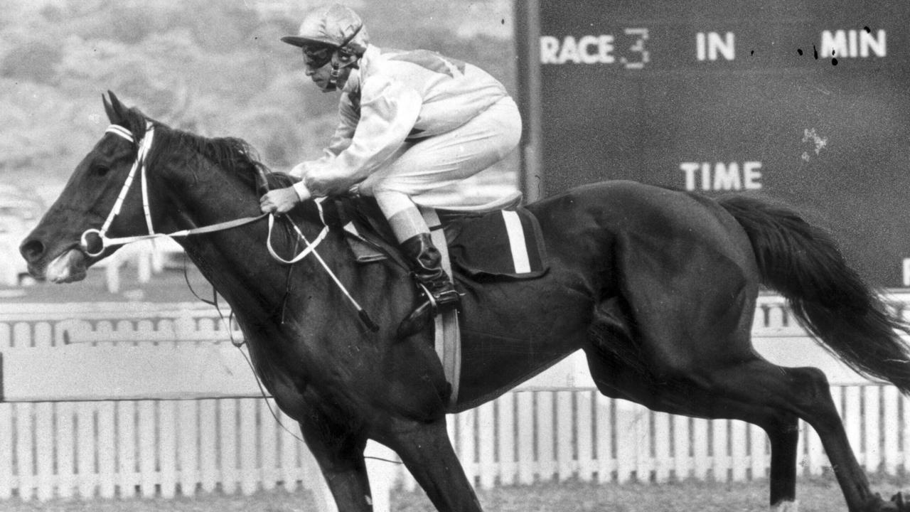 1970 - Luskin Star wins the Golden Slipper in Sydney. b/w. f/l. Sport horseracing action