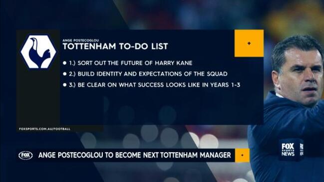 What’s Ange Postecoglou’s Tottenham to-do list?