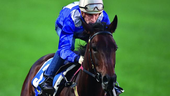 Champion: Hugh Bowman on Winx, preparing for the 2015 Cox Plate.