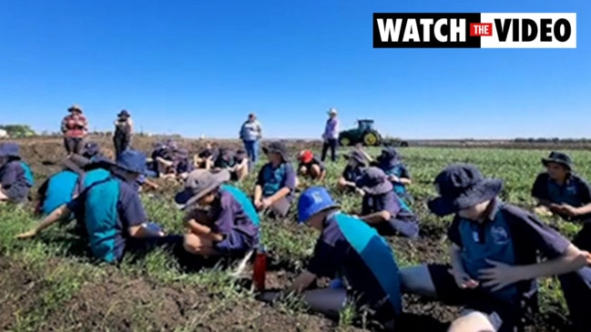 Central Queensland cotton farm visitors required to use footbaths