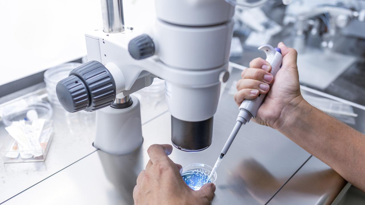 It’s estimated that around 80 per cent of people seeking IVF treatment in Australia use one of the big three clinics, including Genea. Picture: iStock