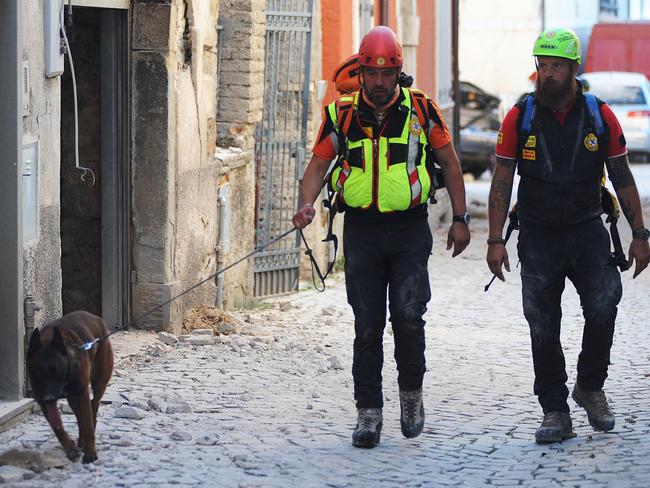 Rescuers walk with a dog past damaged buildings in a street in the central Italian village of Amatrice, on August 24, 2016 after a powerful earthquake rocked central Italy. Picture: AFP.
