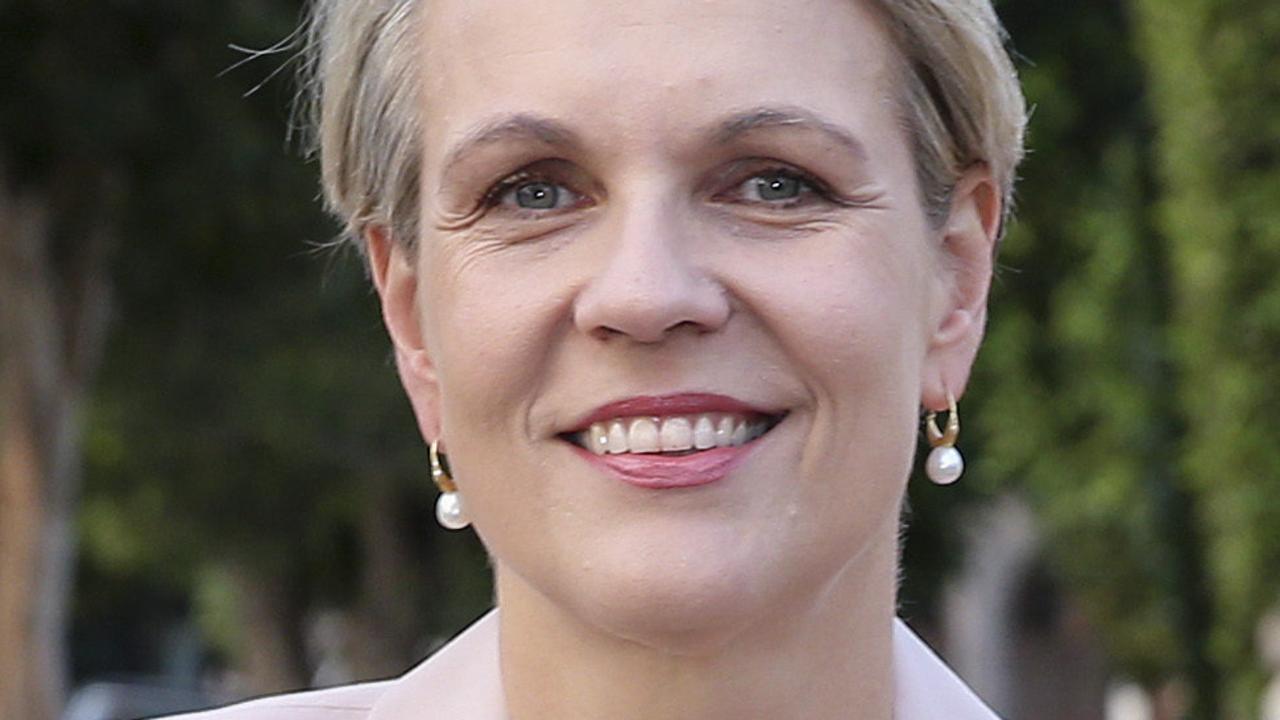 Tanya Plibersek Labor leadership decision proves society needs to