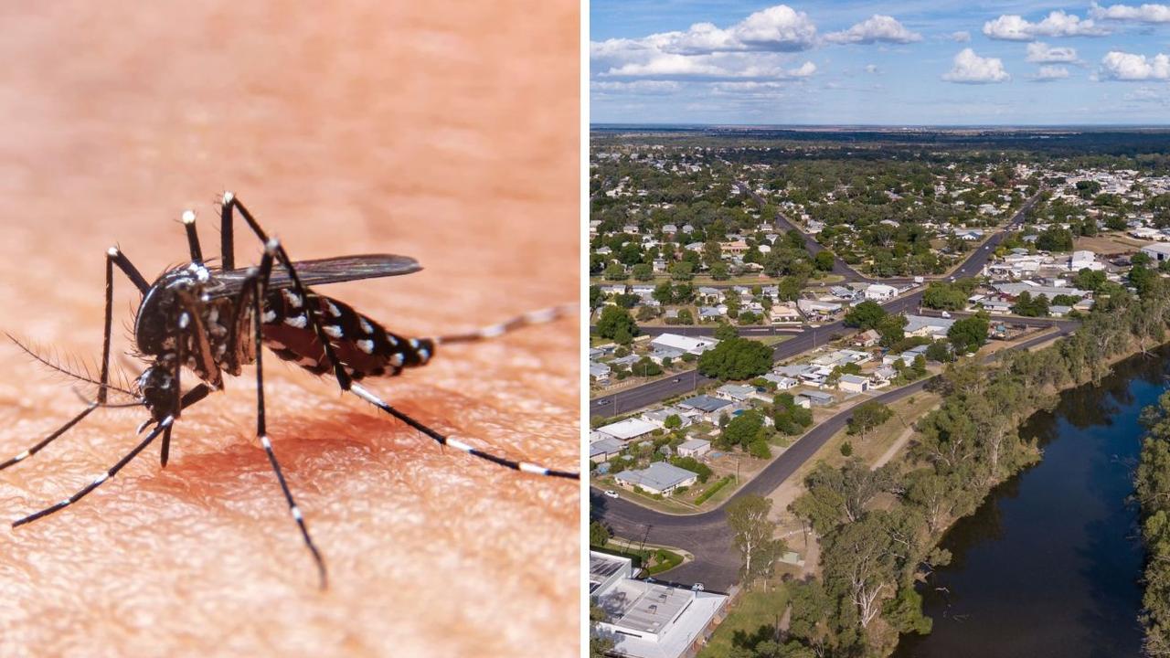 Southern Qld residents warned after deadly virus detected