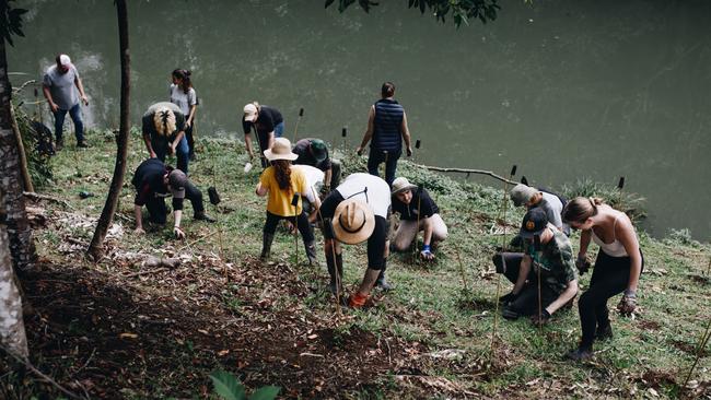 Fans and friends helped plant a rainforest corridor in Byron Bay to launch the record. Picture: Supplied.