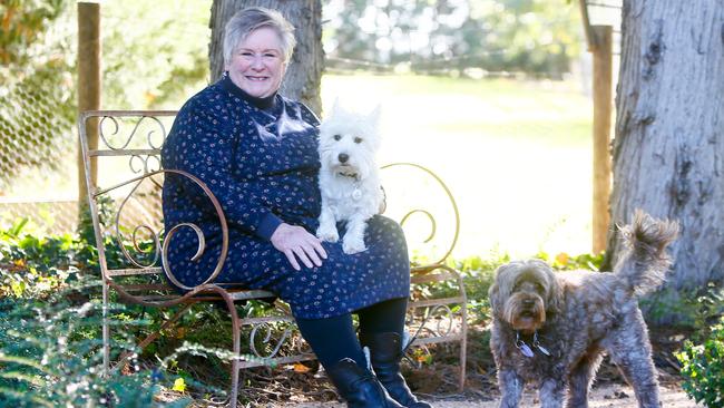 Supplied Editorial Jan Davis has been appointed CEO of RSPCA Tasmania. Picture: PATRICK GEE