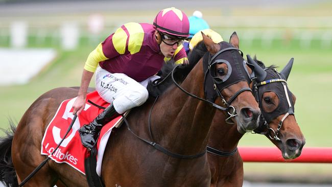 Talented galloper Regardsmaree should handle either wet or dry ground in his assignment at Saturday’s Caulfield Guineas meeting. Picture: Getty Images