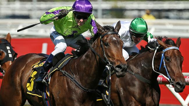 Kerrin McEvoy celebrates after Glbal Glamour wins the Thousand Guineas. Picture: Colleen Petch