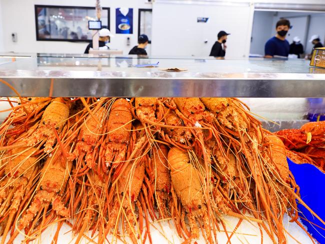 SYDNEY, AUSTRALIA - DECEMBER 23: A general view of lobsters at the Sydney Fish Market on December 23, 2021 in Sydney, Australia. The Sydney Fish Market experiences its busiest trade over the Christmas week including the 36 hour marathon from 5am on the 23rd December until 5pm Christmas Eve, with over 350 tonnes of seafood expected to be sold at the event during the non-stop trading period. (Photo by Jenny Evans/Getty Images)