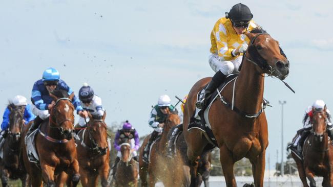 Dame Giselle scored an impressive win in the Golden Gift at Rosehill Gardens. Picture: AAP